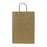 Karat Laguna (Medium) Paper Shopping Bags - Kraft - 250 Bags