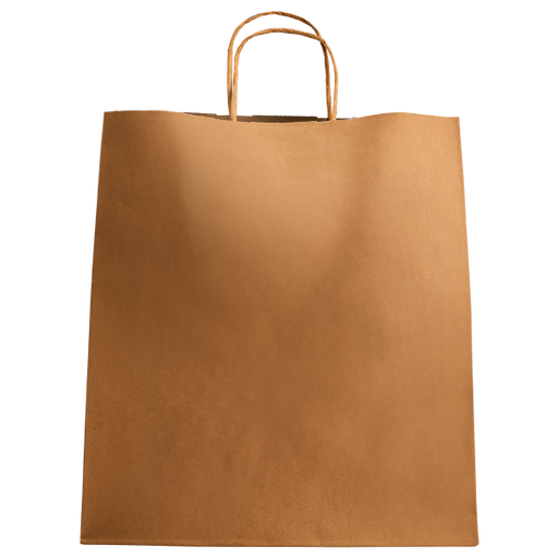 Karat Huntington Paper Shopping Bag with Twisted Handles - 200 ct