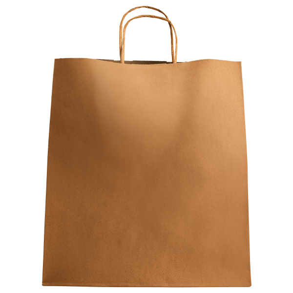 Karat Huntington Paper Shopping Bag with Twisted Handles - 200 ct