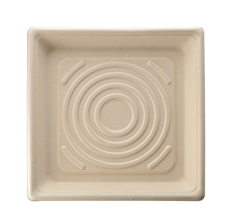 10.25" COMPOSTABLE SQUARE TRAY - 1.2" (200/Case)