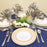 White Plastic Plates with Pink & Gold Mosaic Rim