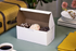 Southern Champion Tray Standard White Bakery Boxes 9X5X4, 250 Count