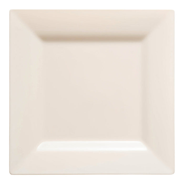 Solid Color Square Plastic Plates