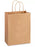 Kraft Paper Shopping Bags
