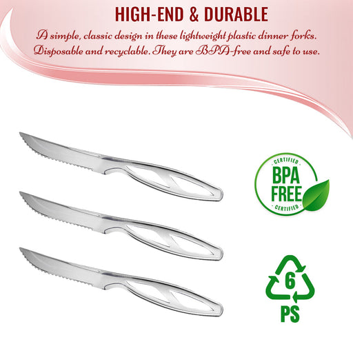 https://papersuppliesplus.com/cdn/shop/files/Silver-Disposable-Plastic-Steak-Knives-BPA_750x_d9efc9a5-94f6-4606-a3aa-2dd40df9bbb4_512x512.jpg?v=1693232270