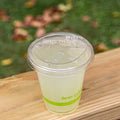 Compostable Lids Clear Cold Cups (96mm)