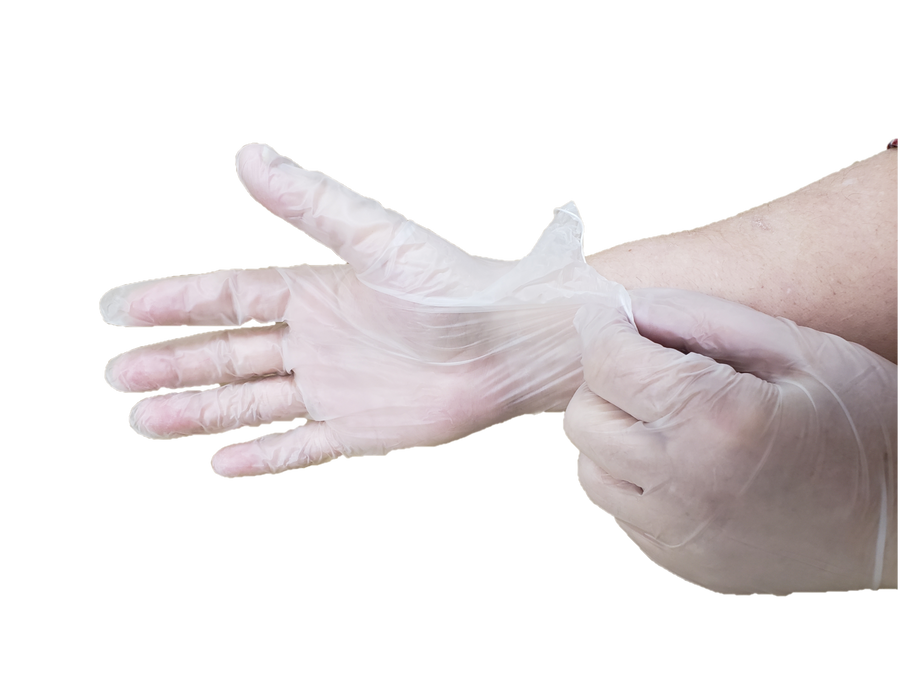 Clear Vinyl Gloves Powder Free PFV13S
