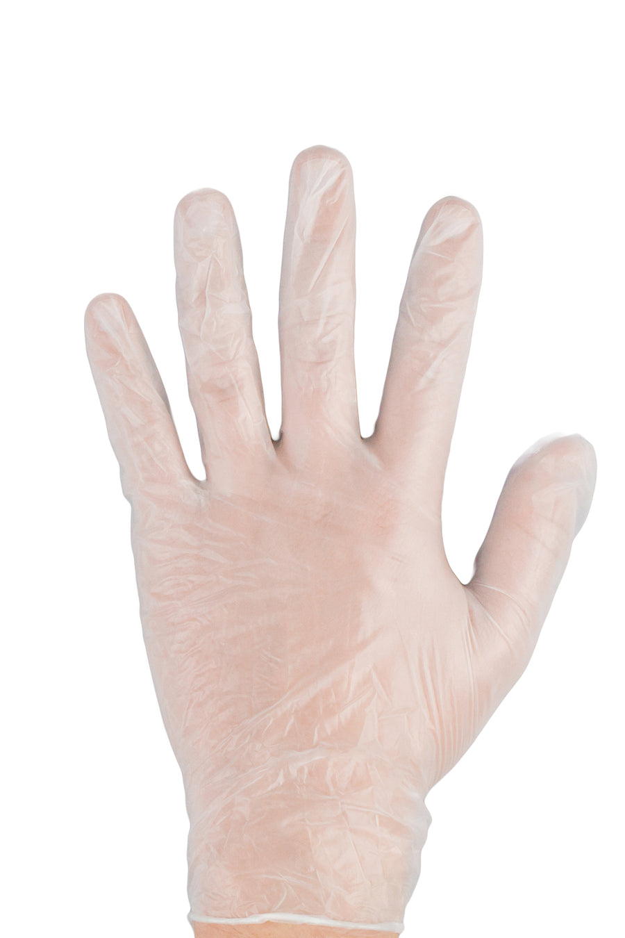 Clear Vinyl Gloves Powder Free PFV200M
