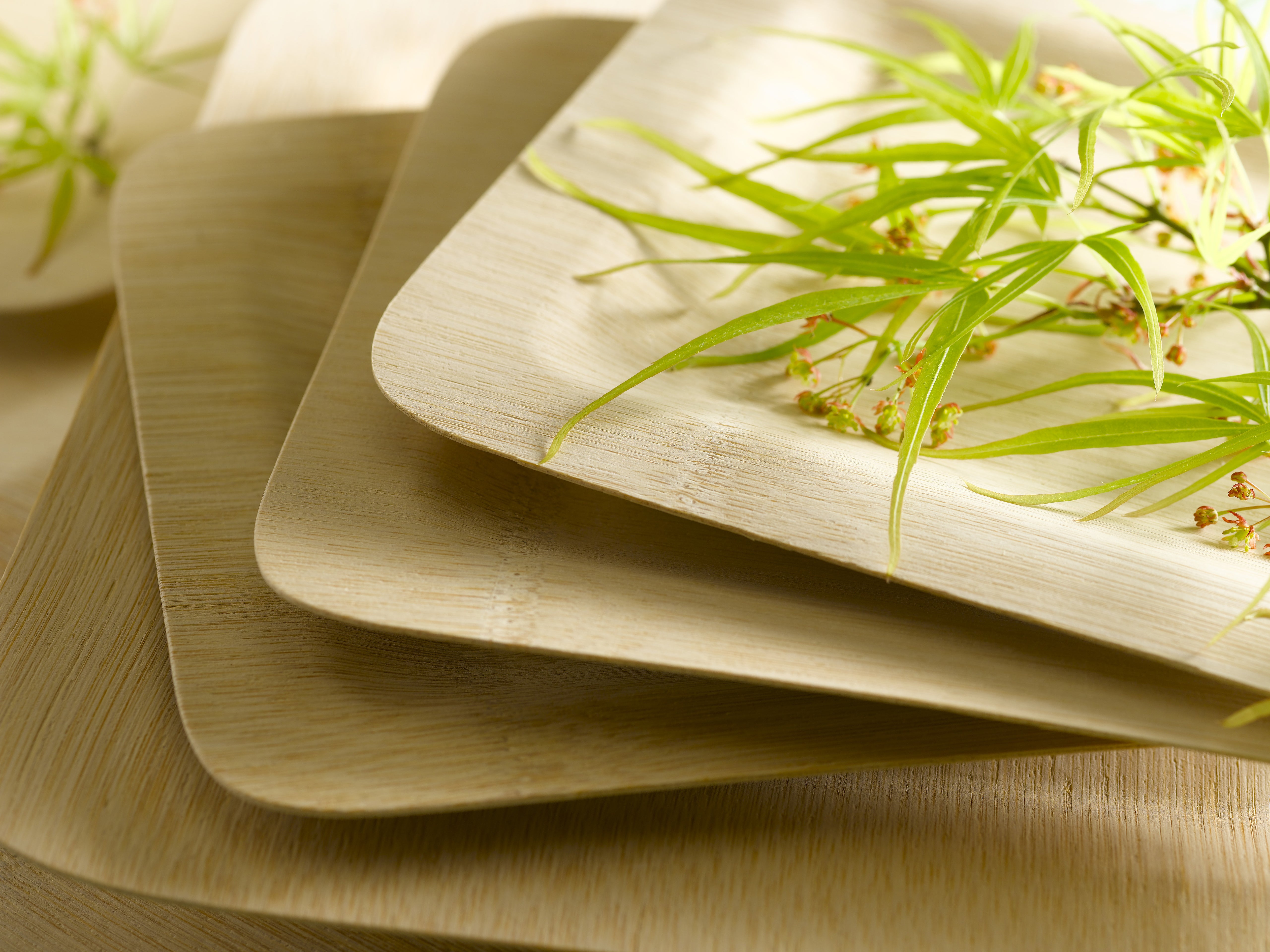 7 Inch Bamboo Veneer Square Plate ( L:7 X W:7) 50 Pcs/Cs