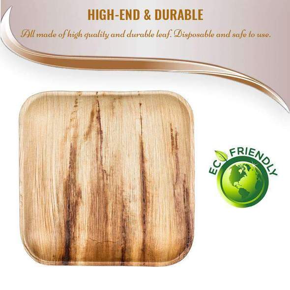 10" Square Palm Leaf Eco Friendly Disposable Dinner Plates (100/CS)