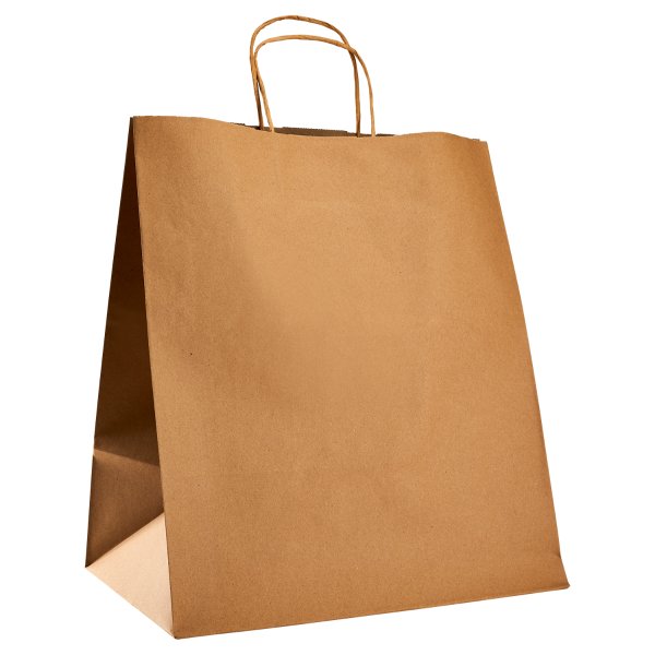 Karat Huntington Paper Shopping Bag with Twisted Handles - 200 ct