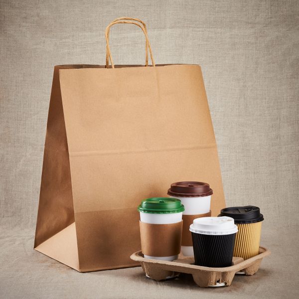Karat Huntington Paper Shopping Bag with Twisted Handles - 200 ct